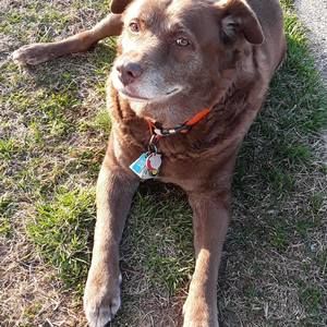 Meet your Posher, Merle